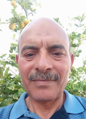 Daly, 64, تونس, صفاقس