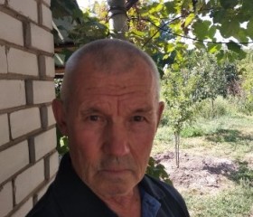 Олег, 72 года, Херсон