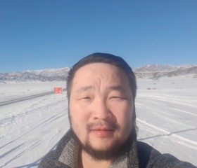 Enkhtur, 43 года, Улаанбаатар
