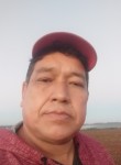 ELIAS DOS SANTOS, 51 год, Itapeva