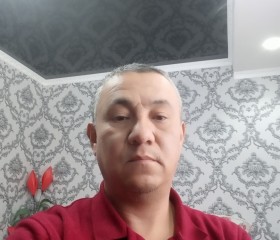 Аза Азизакунов, 49 лет, Бишкек