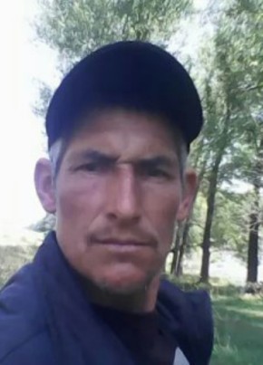 Дмитрий, 54, Россия, Кирсанов