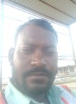 Viresh singh, 38 лет, New Delhi