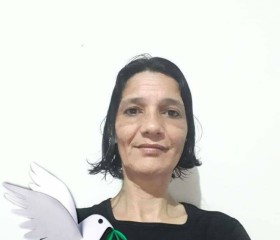 Maria, 49 лет, São Bernardo do Campo