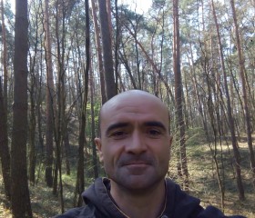 Серж, 42 года, Zielona Góra