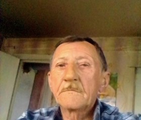 Иван, 65 лет, Боровичи