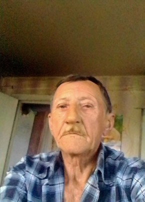 Иван, 65, Россия, Боровичи