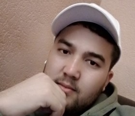 Shamil, 25, Saint Petersburg