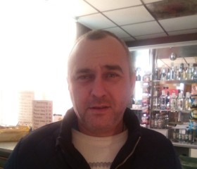 Сергей, 43 года, Разумное