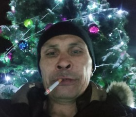 Владимир, 46 лет, Ленинское (Еврейская)