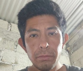 Mario, 35 лет, México Distrito Federal