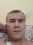Камалладдин Аваз, 37 лет, Ульяновск