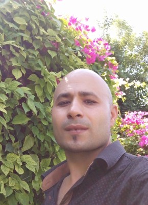 Muhammad, 35, الإمارات العربية المتحدة, دبي