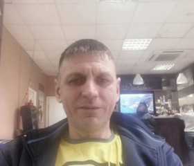 Анатолий, 42 года, Серов