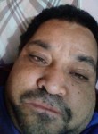 Armandinho, 35 лет, Porto Alegre