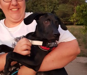 manu 31, 45, Colomiers