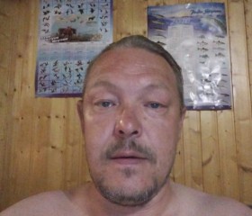 Лешка я голодран, 47 лет, Красногорск