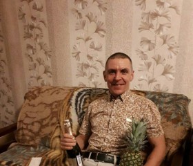 Дима, 52 года, Новосибирск