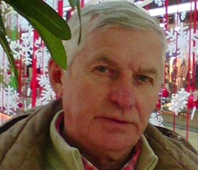 Сергей, 73 года, Суми