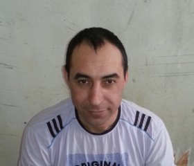 Andrei Cazacu, 49 лет, Серпухов