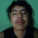 t9vz7798xzvt