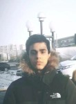 Тимур, 20 лет, Bakı