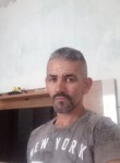 Roberto, 48 лет, São Bernardo do Campo