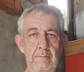 Walter Pereira L, 69 лет, Região de Campinas (São Paulo)