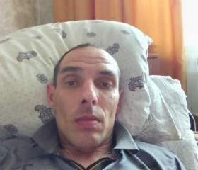 Алексей, 44 года, Ясногорск