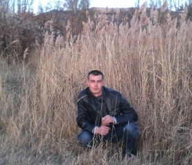 Николай, 38 лет, Бишкек