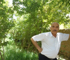 Ayoubi, 61 год, کابل