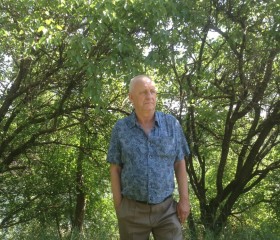 Юрий, 73 года, Ростов
