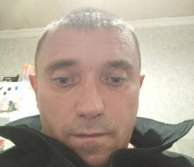 Алексей, 41 год, Артем