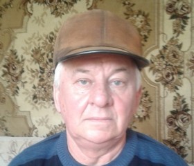 Владимир, 70 лет, Камышин