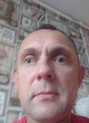 Николай, 47, Рэспубліка Беларусь, Горкі