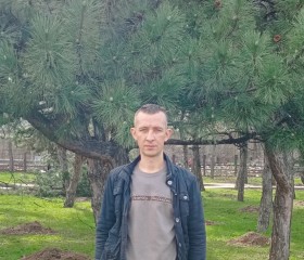 Никола, 38 лет, Луганськ