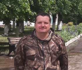 Сергей, 52 года, Тула
