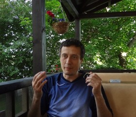 Александр, 46 лет, Сестрорецк