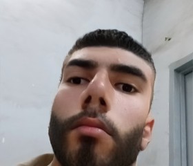 محمود محمد, 19, Bani Suwayf