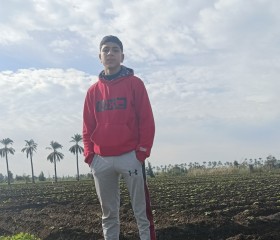 محمود, 18, Disuq