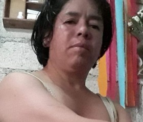 Alejandra Pontaz, 49 лет, Campestre Villas del Álamo