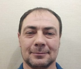 Игорь Алешин, 46 лет, Заречный (Рязанская обл.)