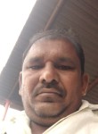 Madhu, 38 лет, Pune
