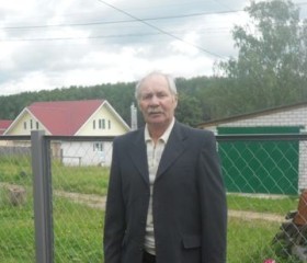 Иван, 70 лет, Нижний Новгород