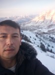 Жахонгир, 37 лет, Toshkent