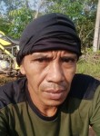 SYAHRIN, 46 лет, Banjarmasin