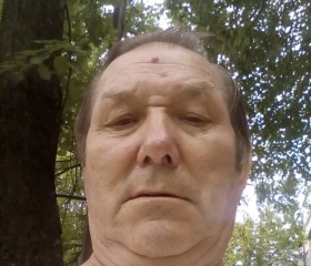 vlad, 66, Littau