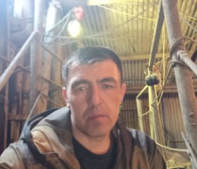 Ильнур, 42 года, Мензелинск