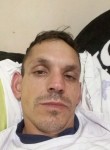 Claudiomir, 37 лет, Palmas (Paraná)