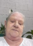 Elaine, 71 год, Itaquaquecetuba